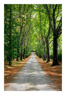 Castello Il Borgia in Passignano sul Trasimeno - Italy - 7