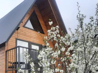 Cottage THORI Stephantsminda,Achkhoti - 6