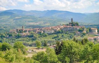 Beautiful Apartment In Castel Focognano - Castel Focognano - 9