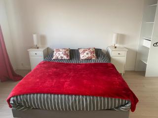 T3 Lumineux & confortable - 2