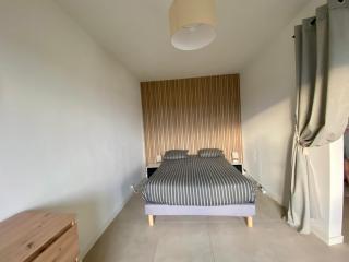 T3 Lumineux & confortable - 4