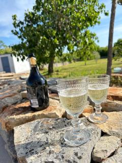 Villa Kalina Croatia - Gajana - 7