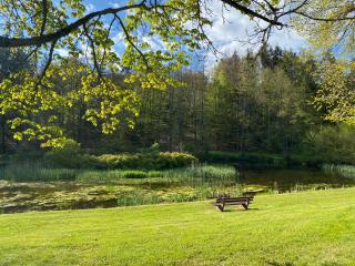 Pension-Ferienwohnung Liesbachtal direkt am Waldrand Bayerische Rhön - Schönau an der Brend - 9