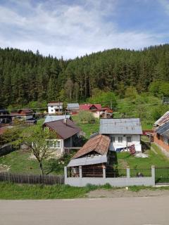 Forest View - Câmpulung Moldovenesc - 1