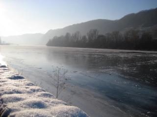 Moselschön 2.0 - Alken - 9