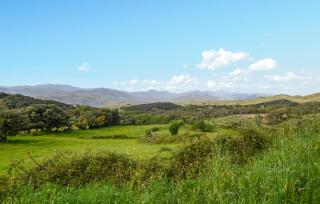 Cozy Home In Petreto-Bicchisano - Petreto-Bicchisano - 2