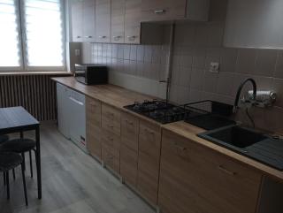 Apartament na Łazarzu - Poznań - 4