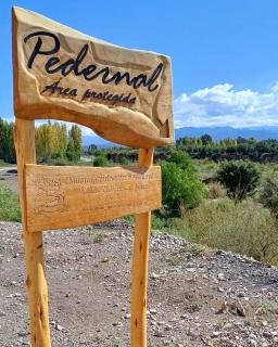 La chana - Pedernal - 3
