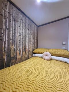 Forestview Cabin No 1 - cosy cabin stay - Ballynahinch - 2