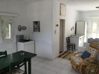 Summer Family House with sea view and garden - Kriopigi - 3