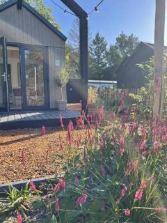 WØUD Tiny House - Epe - 3