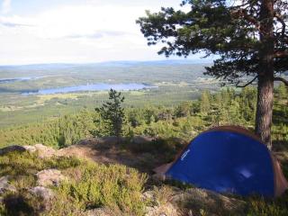 Holiday home TORSBY VII - Torsby - 8