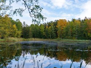 Holiday home HOVMANTORP III - Hovmantorp - 1