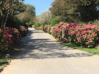Cosy 2 bed pet friendly holiday home Crantock Nr Newquay - 8