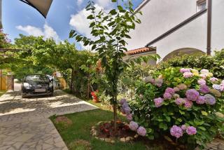 Ferienwohnung für 3 Personen ca 32 qm in Valbandon, Istrien Istrische Riviera - Valbandon - 1