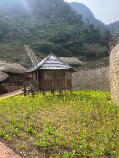 Homestay Highland Hmong - Hòa Bình - 6