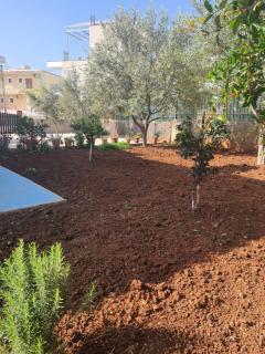 Toris House - Ksamil - 3