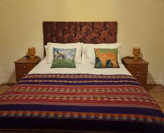 The Alpaca Farmhouse with hot tub and alpaca experience included - Dromara - 3