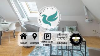 Preize Serenity Loft - Hypercentre - 2 pers. - Troyes - 0