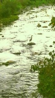 River Breeze Villa, 5 minutes to beach and town - Soufriere - 2