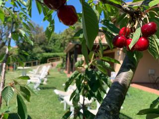 B&B Arcobaleno - Tirli - 3