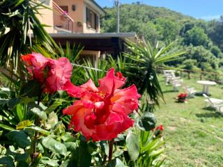 B&B Arcobaleno - Tirli - 1