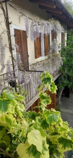 Il Giardino del Gallo - Cherasco - 6