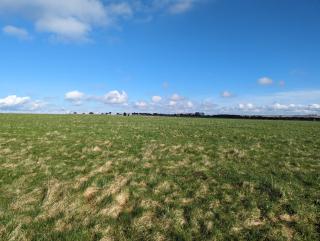 Little Chilsbury - Potterne - 8