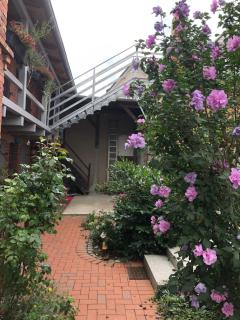 Ferienwohnung Mathilda - Waren - 7