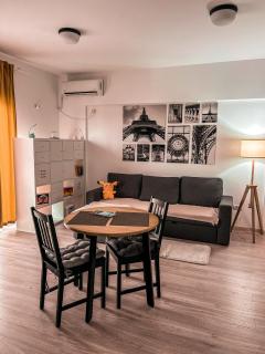 Elegant Park Copou 2 rooms AB Homes - Iaşi - 7