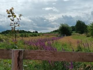 E Berry Farm - Slow life home - Olszyna - 9