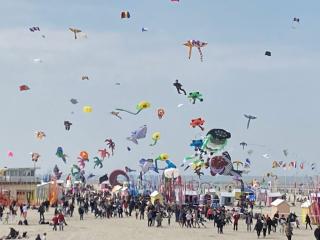 Gîte chti picard parking privé gratuit et 100m de la plage - Berck-sur-Mer - 1