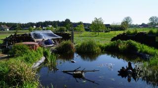 Auszeit inmitten der Natur - its a kind of magic - - 3