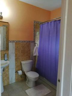 A Lovely Jamaican Get-Away - Kingston - 6