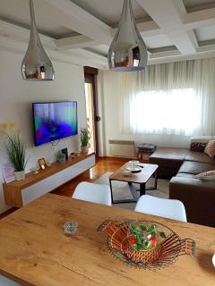 Zlatibor lux apartman i SPA Jeremići - Zlatibor - 0