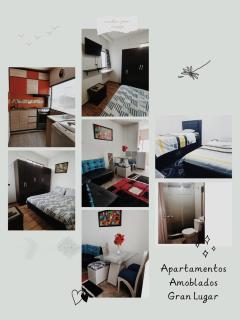 101, amoblado Bogota, cerca al aeropuerto el dorado - Bogotá - 9