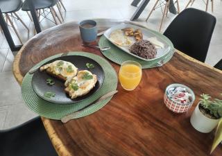El Gecko Hotel & Tours - Paquera - 6