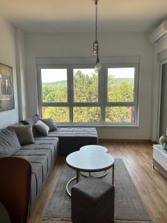 Apartman 103 - Vrdnik - 0
