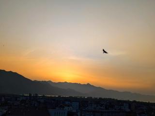 Arbi's Apartment - 1