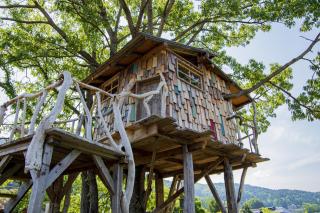 みちくさ能勢 - 9