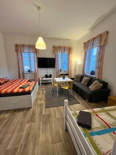 Apartmá Luxura - Děčín - 1
