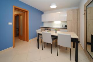Garden Palace Pool Deluxe Apartment - Umag - 5