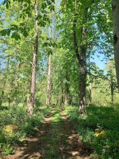 Château au calme, pleine nature - - 2