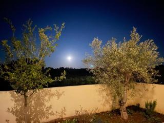 Zaton-Nin Holidays - Olive Apartment - Zaton - 7
