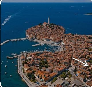 Dolce Studio Apartmani - Rovigno (Rovinj) - 9