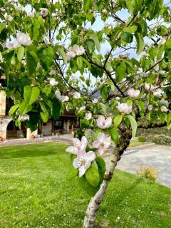 Hotel Finca Malvasia - Adults only - Cabezón de Liébana - 7