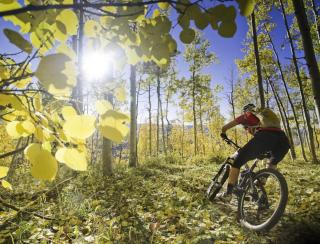 Hi Country Haus - 10-18,,, condo - 6