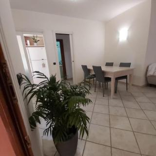 Sardegna, House of Flamingos Olbia Apartment - Olbia - 3