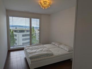 4,5 room apartment with lake view - 5