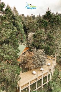 Entrebosques - Santa Elena - 7